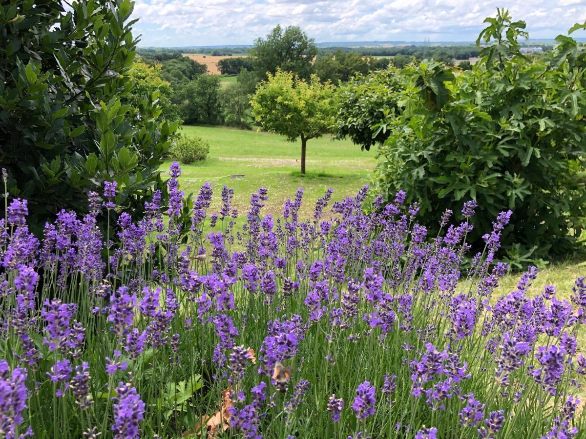 La Ferme Buissonniere Bed & Breakfast Bardou Exterior foto