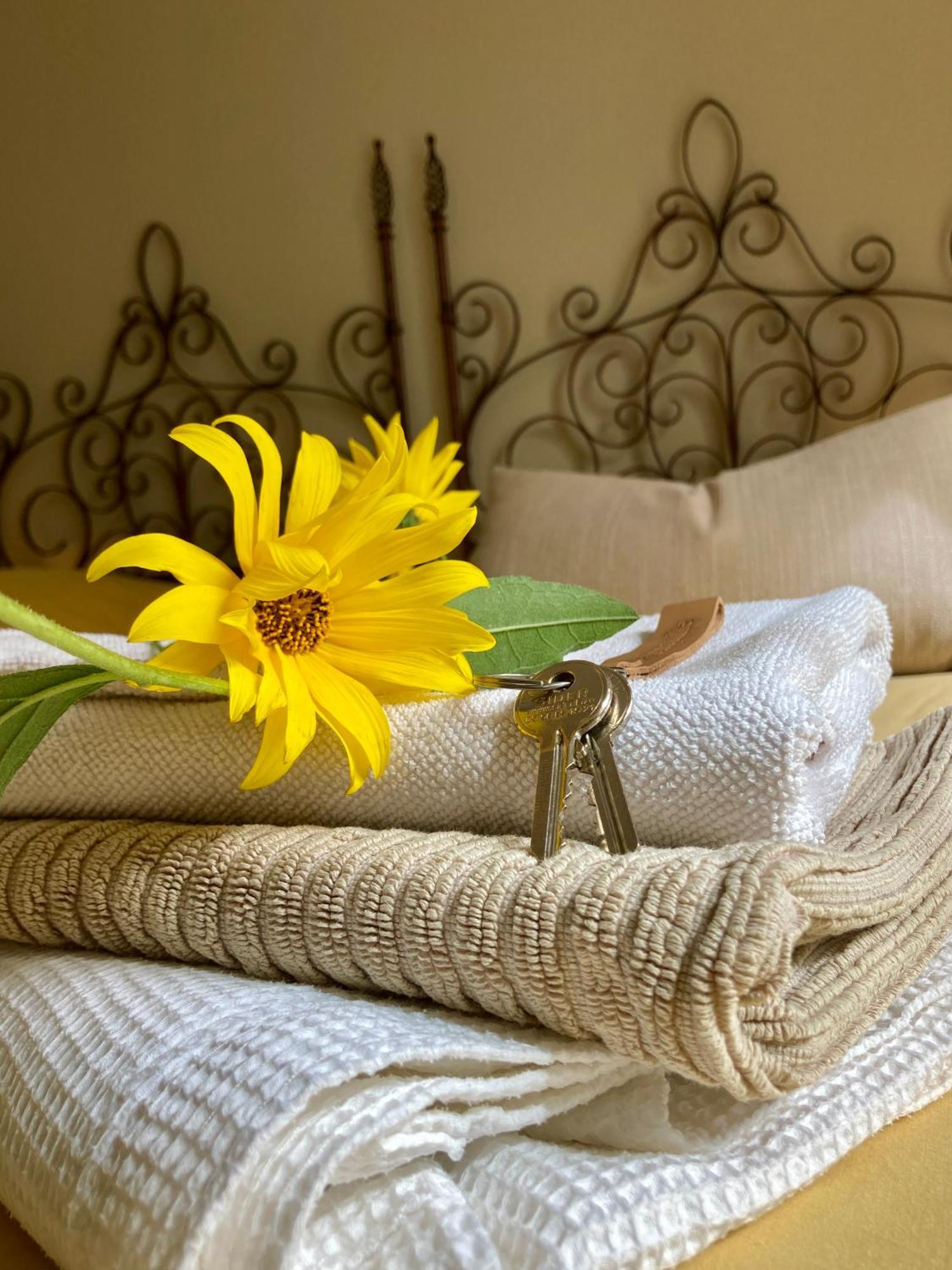 La Ferme Buissonniere Bed & Breakfast Bardou Exterior foto